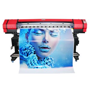 printer solvent roland eco karo rega